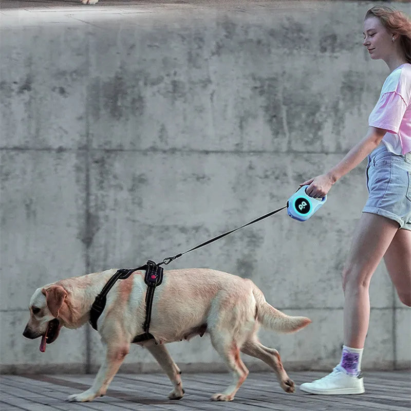 Dog Walking Using LED Retractable Leash